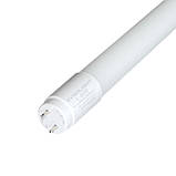 Лампа EVROLIGHT L-600 6400 K 9 Вт G13 T8 трубчаста LED, фото 3