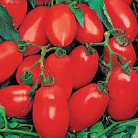 Насіння томатів Улісе F1 Червоний детермінантний гібрид для розсади 20шт. GreenMarket