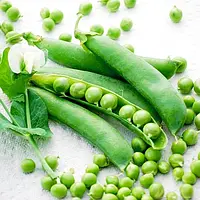 Горох овощной Адагумский Зеленый Семена 50 гшт. GreenMarket