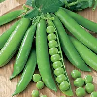 Горох овощной Тристар Зеленый Семена 100 гшт. GreenMarket