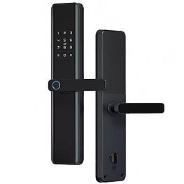 Електронний дверний замок NaviCat K1/M1 з підтримкою програми TUYA Black   aiw 914 I537