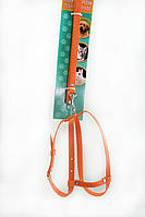 Комплекти для малих собак, кішок, кроликів Кот - капрон 4288403