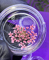 Декор для нігтів Сухоцвіти світло-рожеві