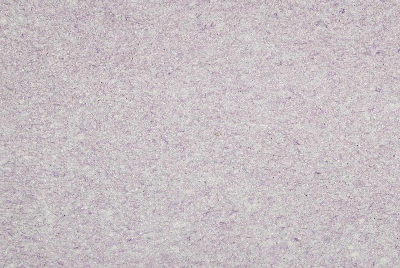 Рідкі шпалери Silk Plaster Мастер Шелк 12