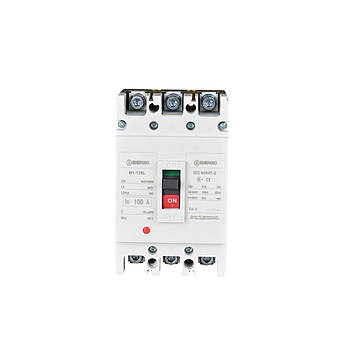 Автоматичний вимикач ENERGIO M1-125L 3P 100A 35 кА