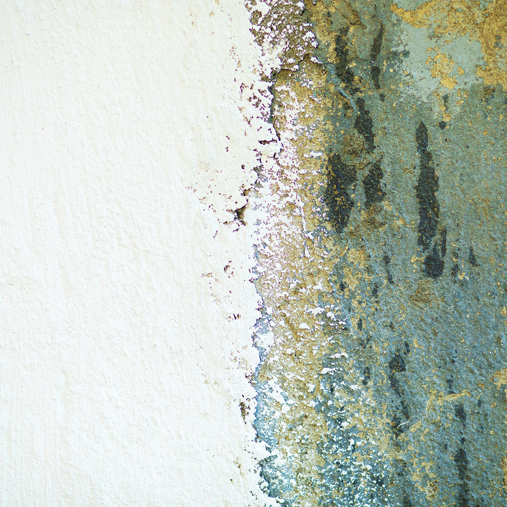 Вініловий фотофон 60х60см, Frontlit 450 г/м2 №550491, фото 1