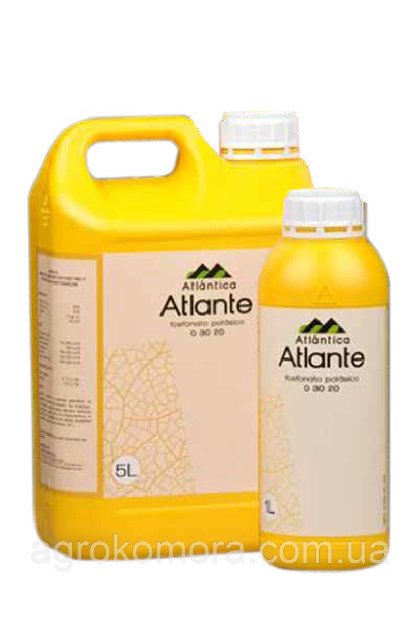 АТЛАНТЕ 1 л, Atlantica Agricola, Іспанія