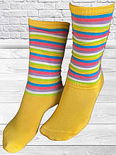 Шкарпетки жіночі гольфи бавовна 20-24 см (12 шт.) Мікс