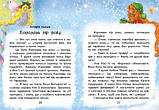 У пошуках Нового року. Чарівні істрії С972009У, фото 2