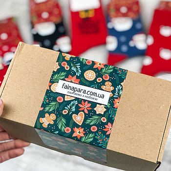 Набір новорічних чоловічих шкарпеток Aura Via (5 пар в подарунковій упаковці)