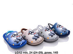 Дитяче взуття оптом Дитячі кімнатні зимові капці 2022 бренда Lion (ррр. 24-29)