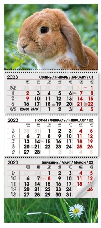 Календар настінний на квартальний 2023р. 3 пружини "Символ року" БТ, 12173, фото 1