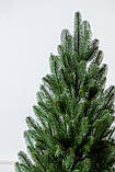 Ялинка лита "Лапландська" Зелена в горщику1,10 м, фото 3