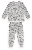 Дитяча піжама для хлопчика PGM-22-2-8 Сірий на зріст 98 (12995)(GB)