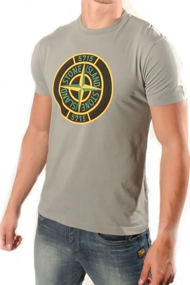 Футболка в стилі Stone Island, сіра з логотипом, унісекс (чоловіча, жіноча, дитяча)