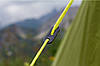 Намет Vango Soul 200 Treetops (TERSOUL  T15151), фото 9