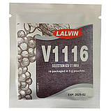 Винні дріжжі Lalvin K1- V1116 широкого спектра. Дріжжі для білих, рожевих, червоних, фруктових вин та сидрів., фото 2