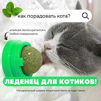 Кошачья мята шарик Игрушка для котов