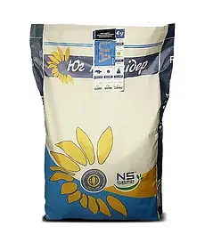 Насіння соняшнику гібрид HC Х 1752