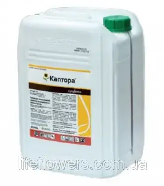 Гербіцид Каптора Syngenta 20 л (Євро-Лайтінг)