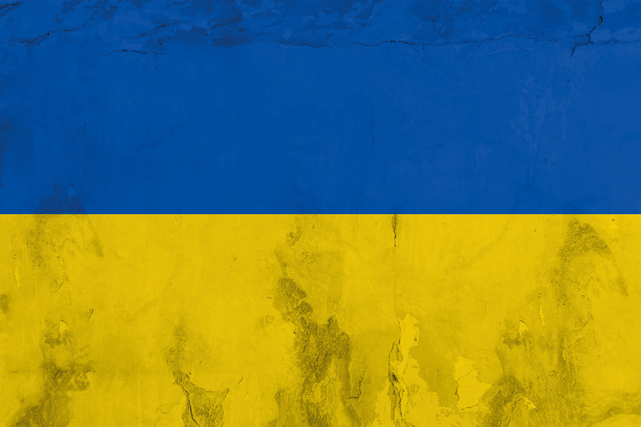 Вініловий фотофон 90x60см, Frontlit 450 г/м2 №56551, фото 1