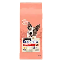 Сухой корм Purina Dog Chow Active Adult для взрослых активных собак со вкусом курицы 14 кг