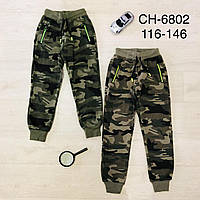 Спортивные утепленные штаны для мальчиков оптом, S&D, 4-12 лет, № CH-6802