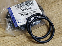Уплотнительное кольцо термостата KAP 96143112 DAEWOO 1.6