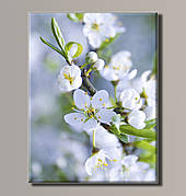 Картина (не розмальовка) HolstArt Квіти на яблуні 41x54 см арт.HAS-396