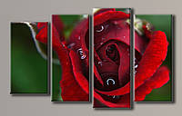 Картина модульная HolstArt Красная роза 63x102см 4 модуля арт.HAF-083