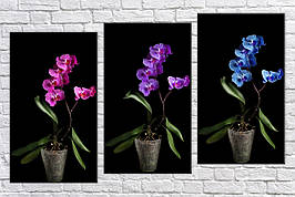 Картина модульна HolstArt Три орхідеї 62x100 см арт.HAT-274
