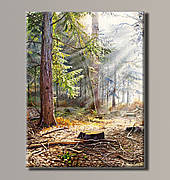 Картина (не розмальовка) HolstArt Живописний ліс 41x54 см арт.HAS-388