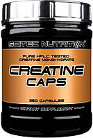 Scitec Nutrition Creatine Caps 250 caps