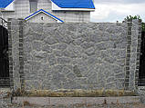 Сірий бут камінь покостівка отбірниї, фото 3