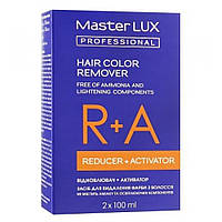 Засіб для видалення барвника з волосся деколорант Master LUX Professional Remover, 200 мл