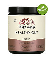 Terra Origin, Healthy Gut, Нормализация функций желудочно-кишечного тракта, вкус ягод, 243 г