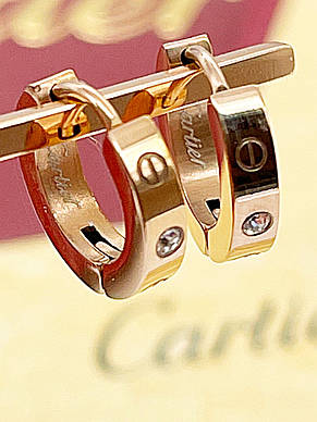 Сережки Stainlees Steel, фото 3