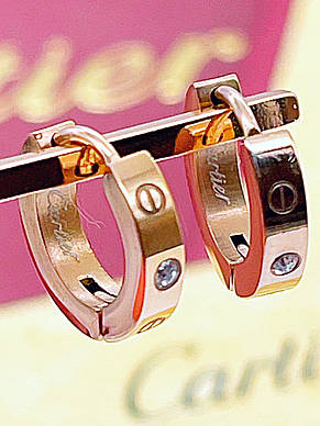 Сережки Stainlees Steel, фото 4