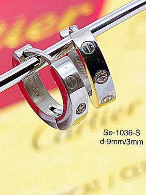 Сережки Stainlees Steel, фото 1