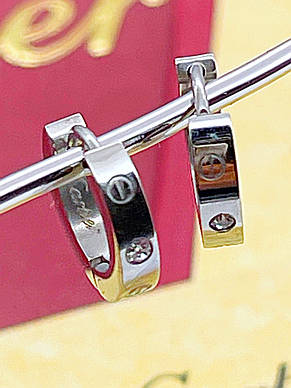 Сережки Stainlees Steel, фото 4