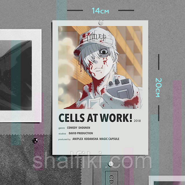 "Лейкоцит (Клітини за роботою / Cells at work)" плакат (постер) розміром А5 (14х20см)