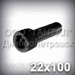 Гвинт М22х100 шестигранний шліц ГОСТ 11738-84 (DIN 912, ISO 4762) з циліндричною головкою