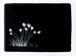 Автомобільний липкий Nano килимок 107х145мм, чорний, монохром "Польові квіти"