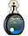 Парфумована вода Fragrance World Royal Hund Sapphire 100 мл, фото 2