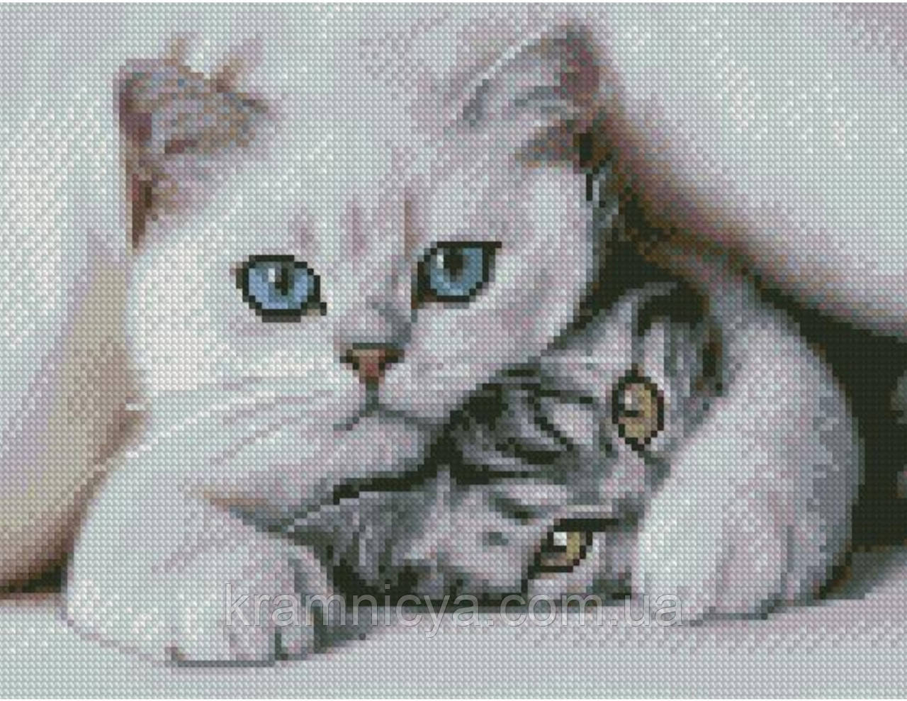 Алмазна мозаїка Пушистики, 30х40 Strateg (HX430), фото 1
