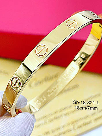 Браслет Stainlees Steel преміум, фото 1