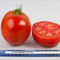 Семена томата Кармелита F1, 20 семян ранний (90-95 дн), красный, индетерминантный, годен до 01.23, УЦЕНКА