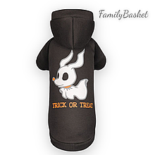 Худі для стильних собак Casper розмір M