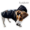 Худі для стильних собак Casper розмір M, фото 4