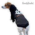 Худі для стильних собак Casper розмір M, фото 2